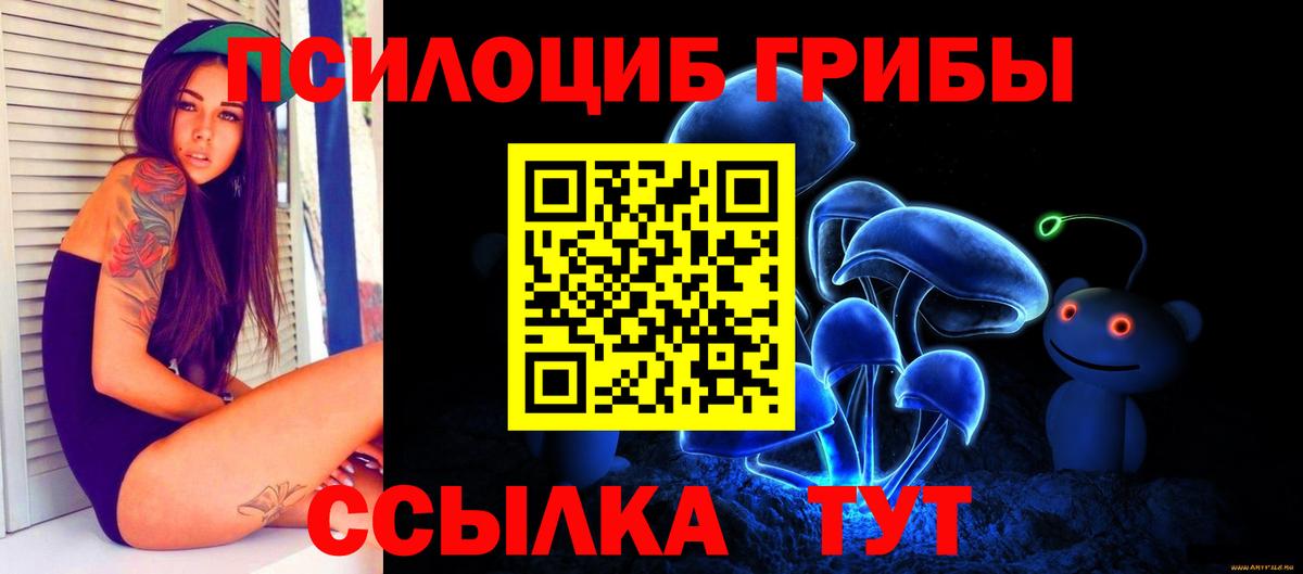 Протвино  как найти закладки  Вход с VPN  Псилоцибиновые грибы MAGIC MUSHROOMS 